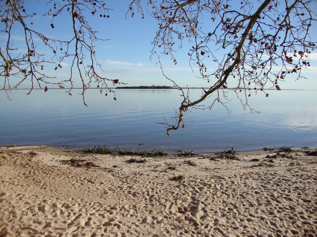 uruguay, sea, ocean-85471.jpg